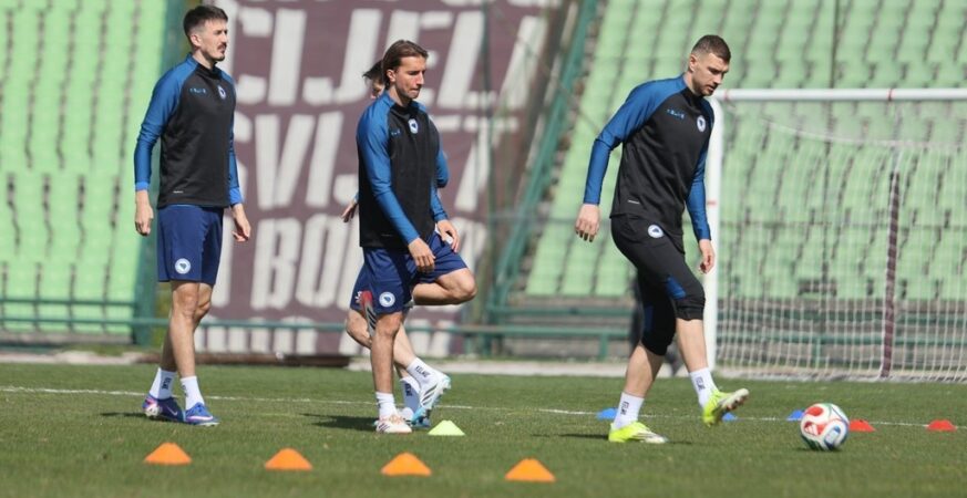 Umjetna inteligencija prognozirala Vels - BiH: Jedan detalj mogao bi sve odlučiti