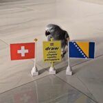 Sergej Barbarez saznao fantastične vijesti pred utakmicu sa Švicarskom